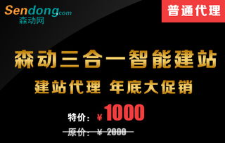 企業網站建設指南 森動網打造專業高效的在線展示平臺